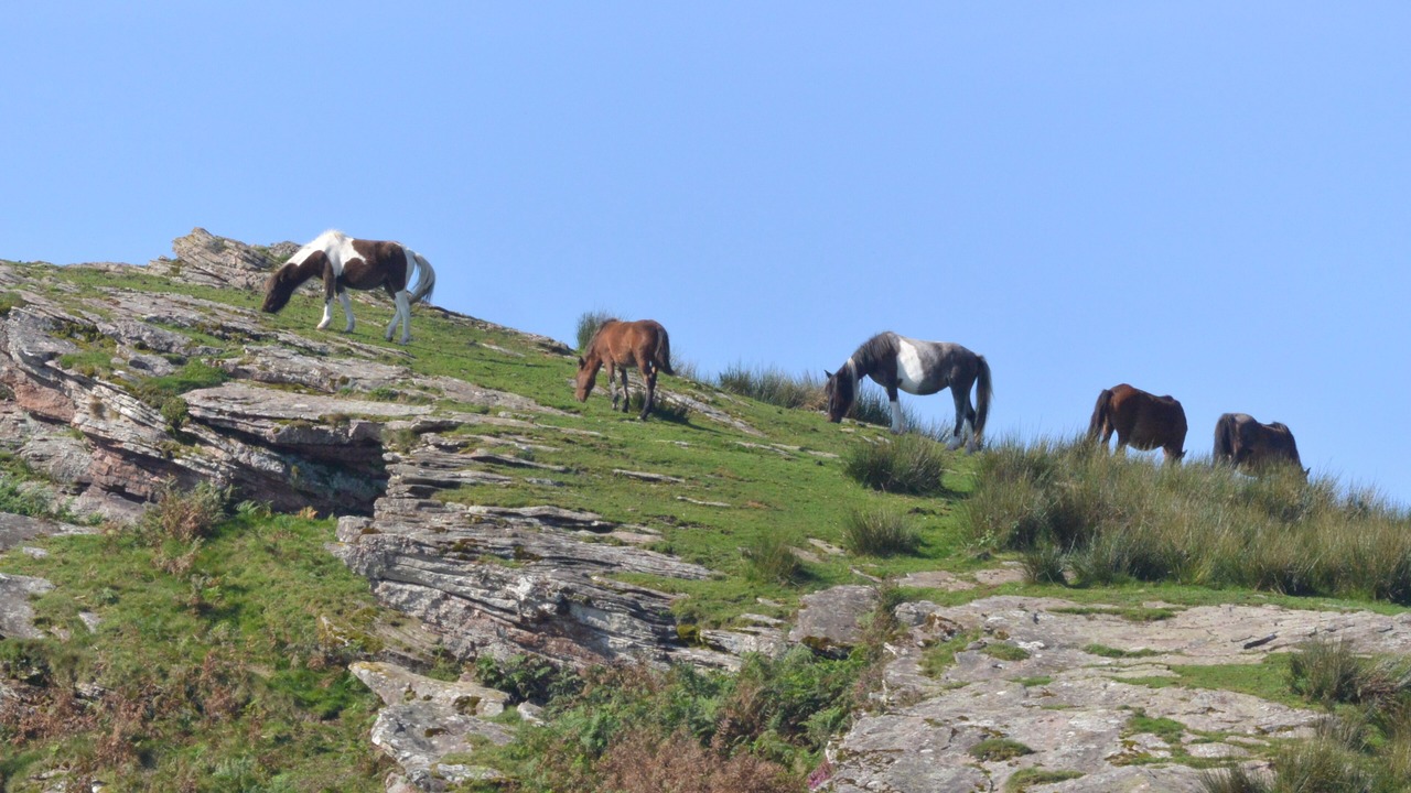 Photo of Outdoor in Cambo-les-Bains