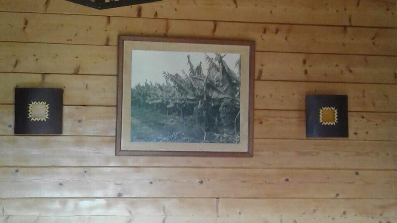 Photo of Bedroom in Saint-Jorioz