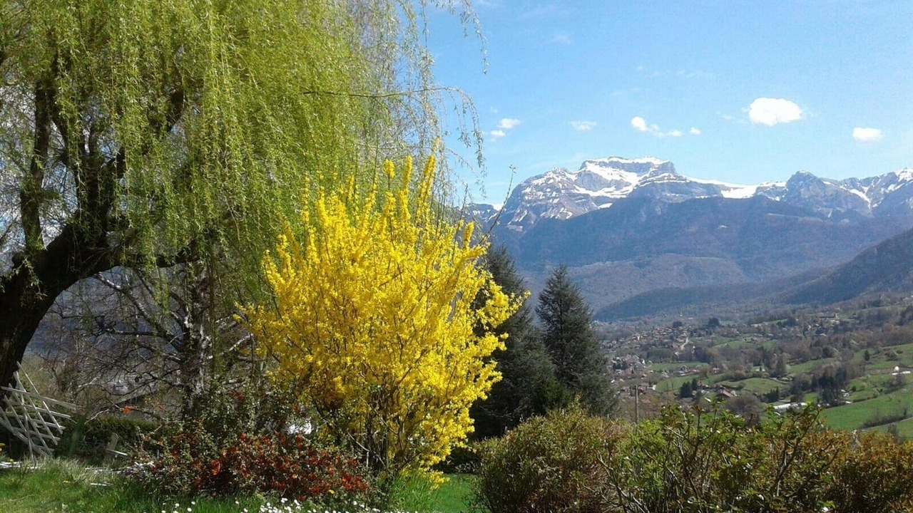 Photo of Outdoor in Saint-Jorioz