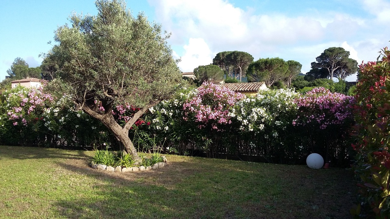 Photo of Outdoor in Preconil