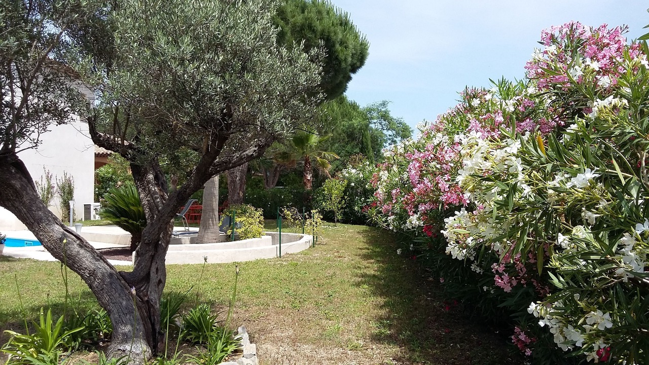 Photo of Outdoor in Preconil