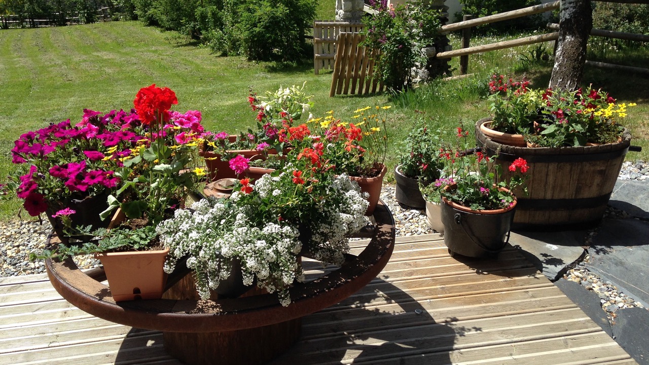 Photo of Outdoor in Pralognan-la-Vanoise
