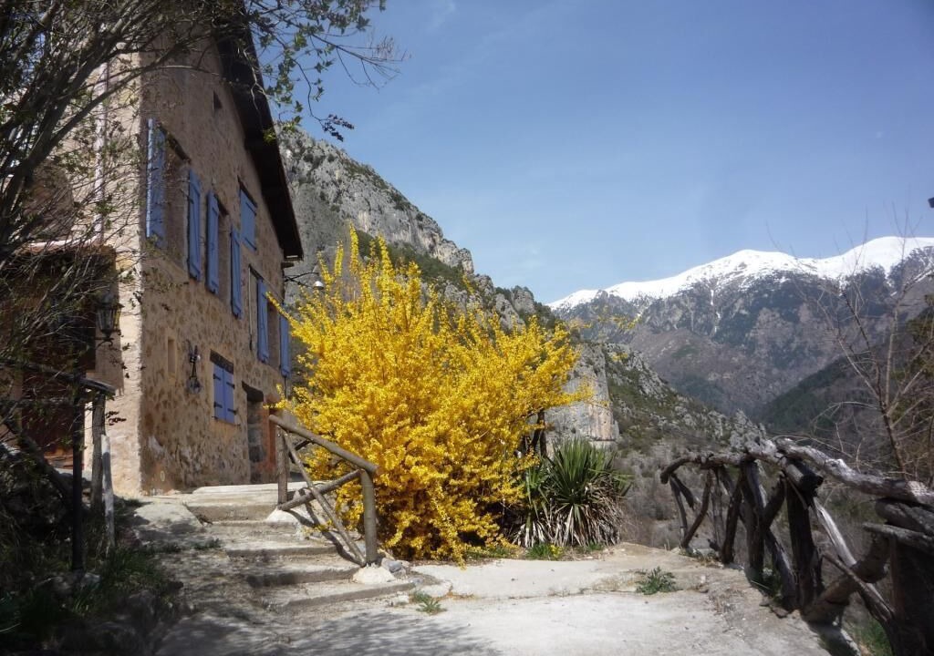 Photo of Outdoor in Roquebilliere