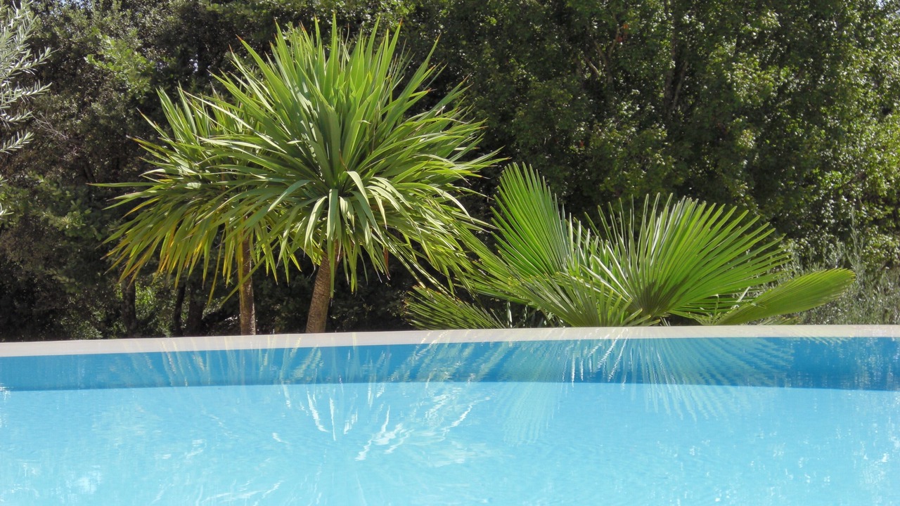 Photo of Outdoor in Labeaume