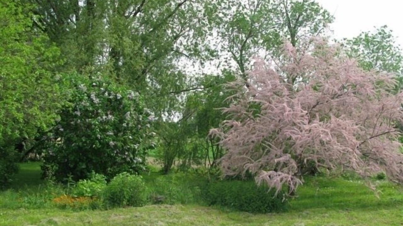 Photo of Outdoor in Saint-Gervais-sur-Roubion