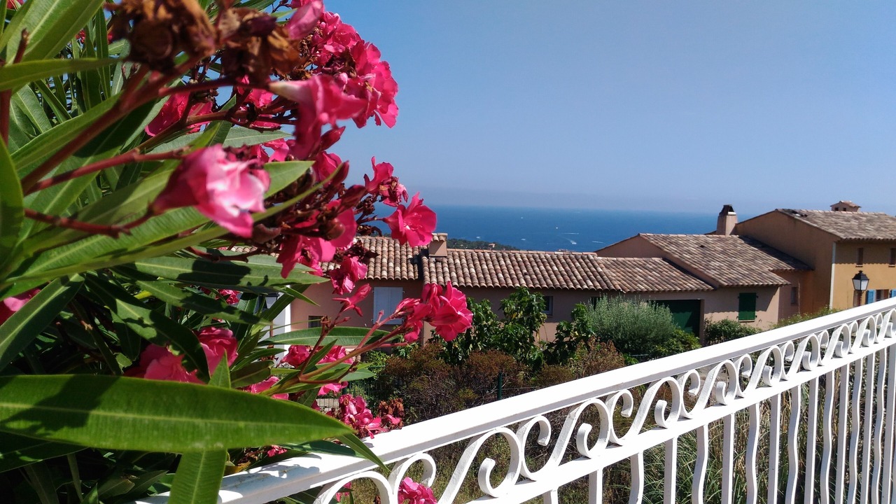 Photo of Outdoor in Les Issambres