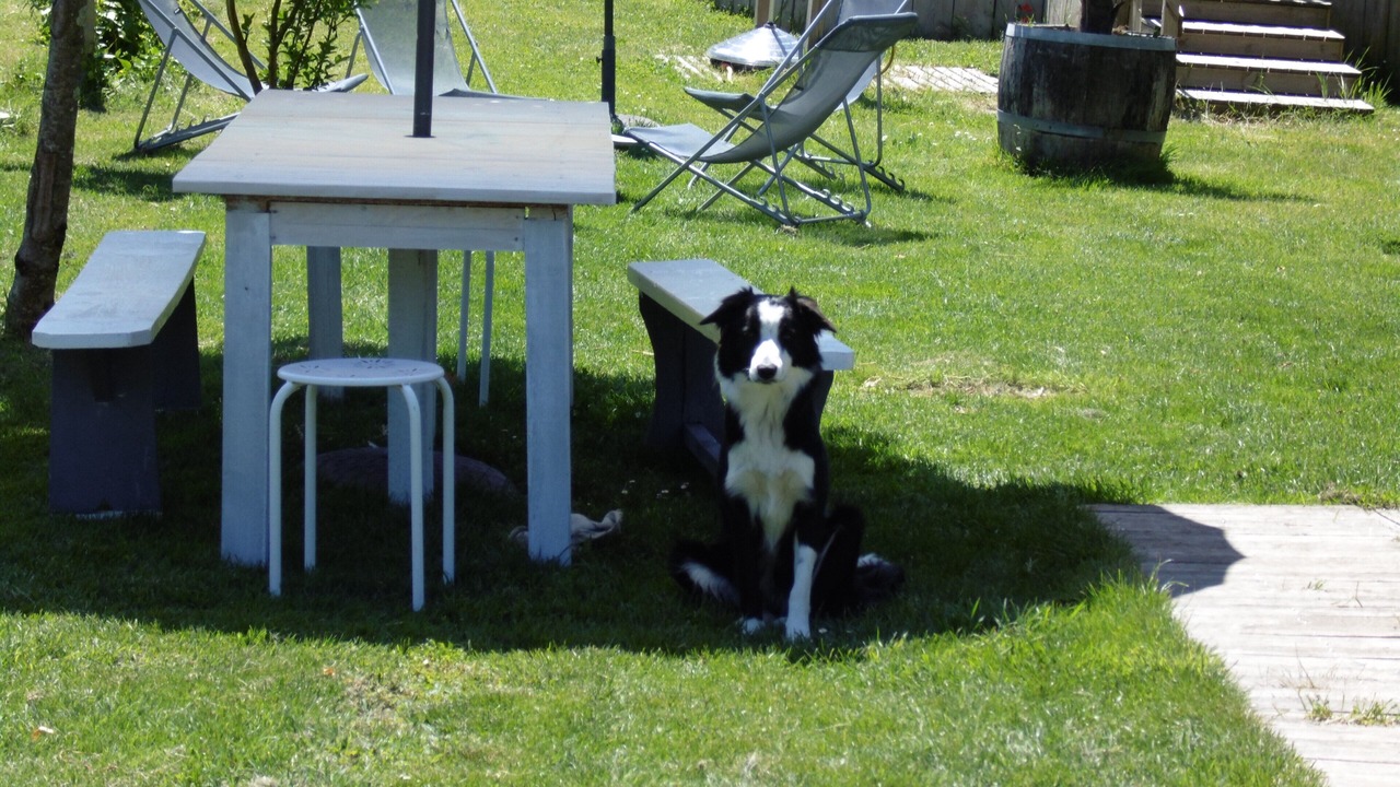 Photo of Outdoor in Saint-Seurin-de-Cadourne