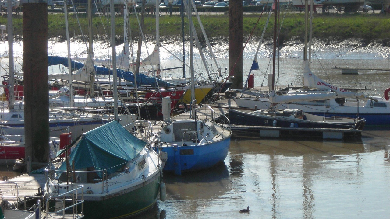 Photo of Others in Saint-Seurin-de-Cadourne