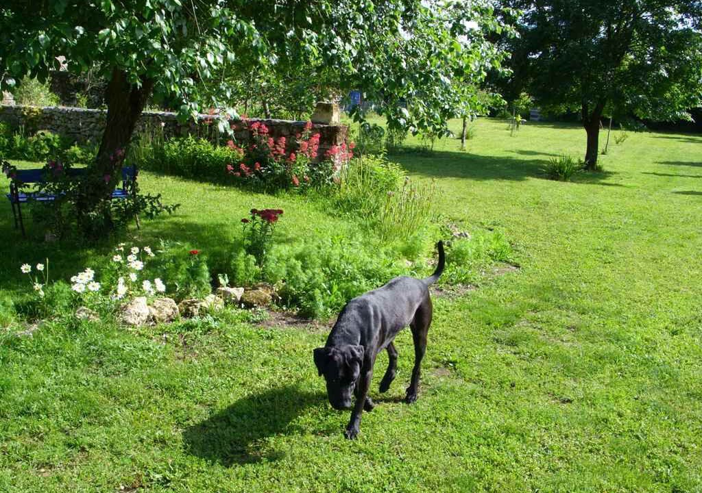Photo of Outdoor in Saint-Seurin-de-Cadourne