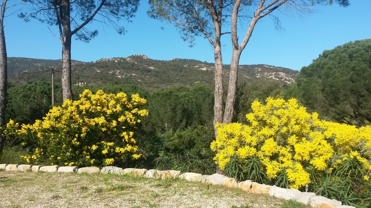 Photo of Outdoor in Preconil