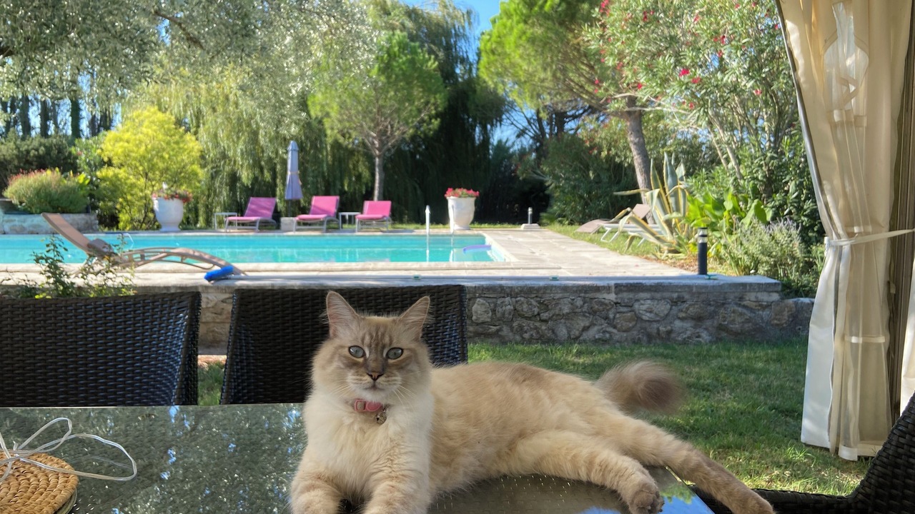 Photo of Outdoor in La Garde-Adhemar