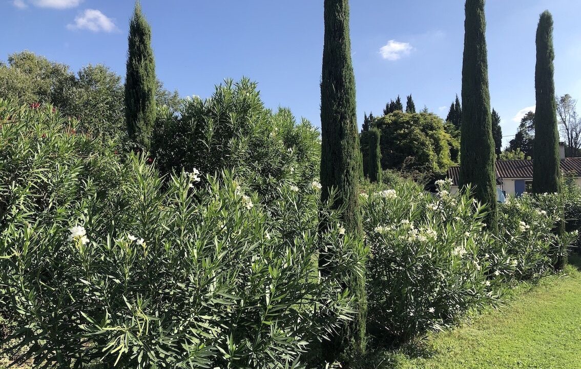 Photo of Outdoor in St.-Remy-de-Provence