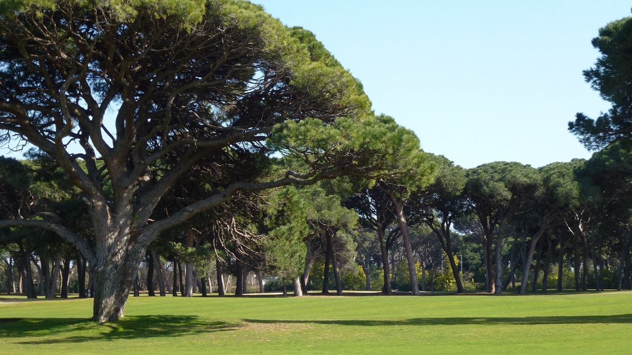 Photo of Others in Mandelieu-La-Napoule