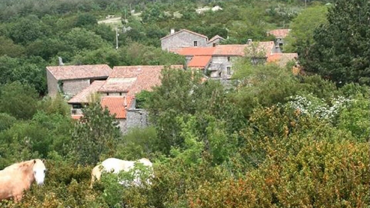 Photo of Outdoor in Campestre-et-Luc