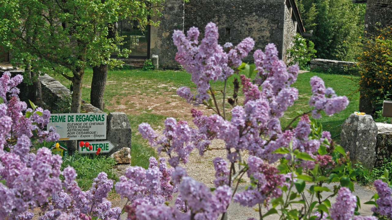 Photo of Outdoor in Campestre-et-Luc