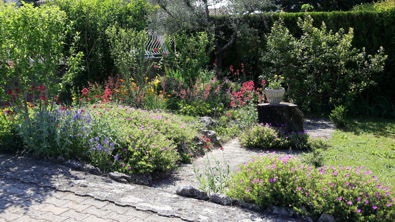 Photo of Outdoor in Vaison-la-Romaine