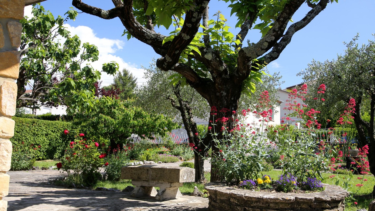 Photo of Outdoor in Vaison-la-Romaine
