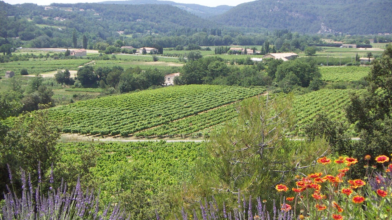 Photo of Outdoor in Mollans-sur-Ouveze