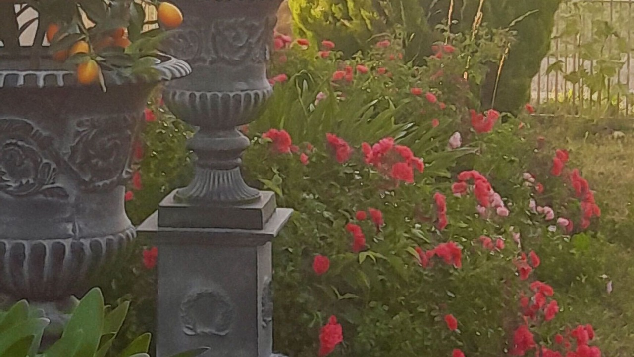 Photo of Outdoor in Saint-Christoly-Medoc