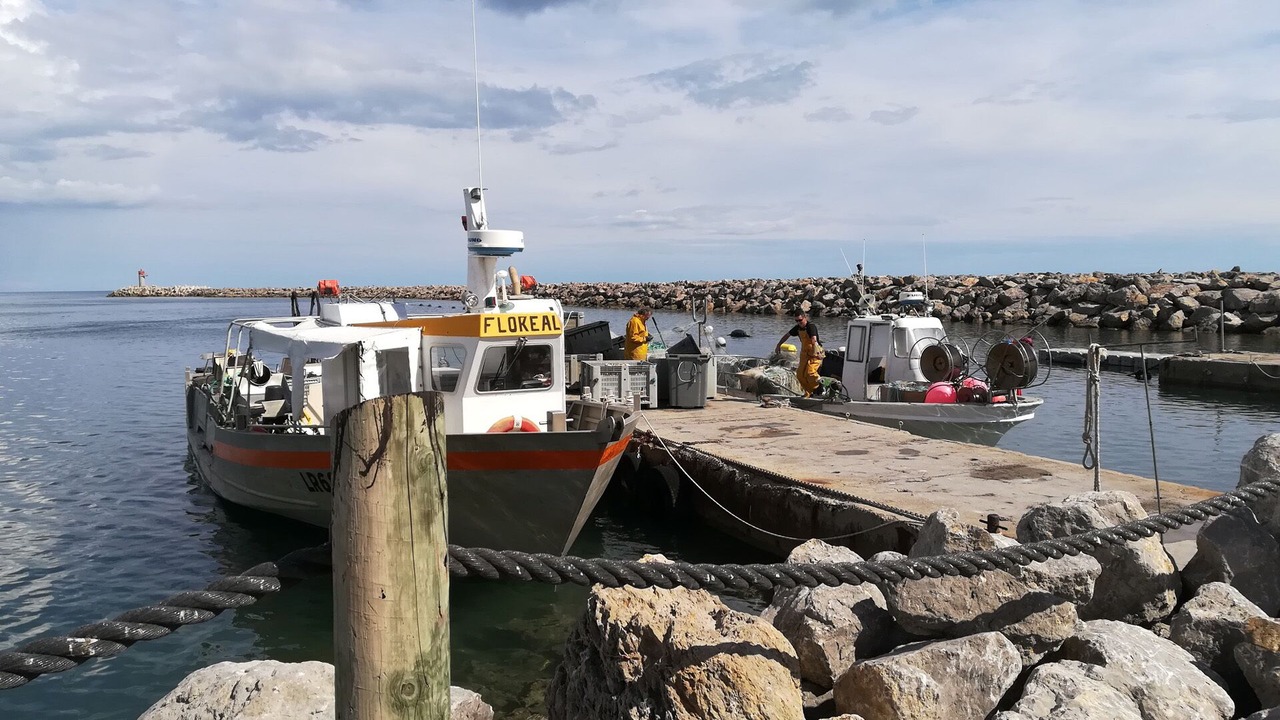 Photo of Others in Gruissan
