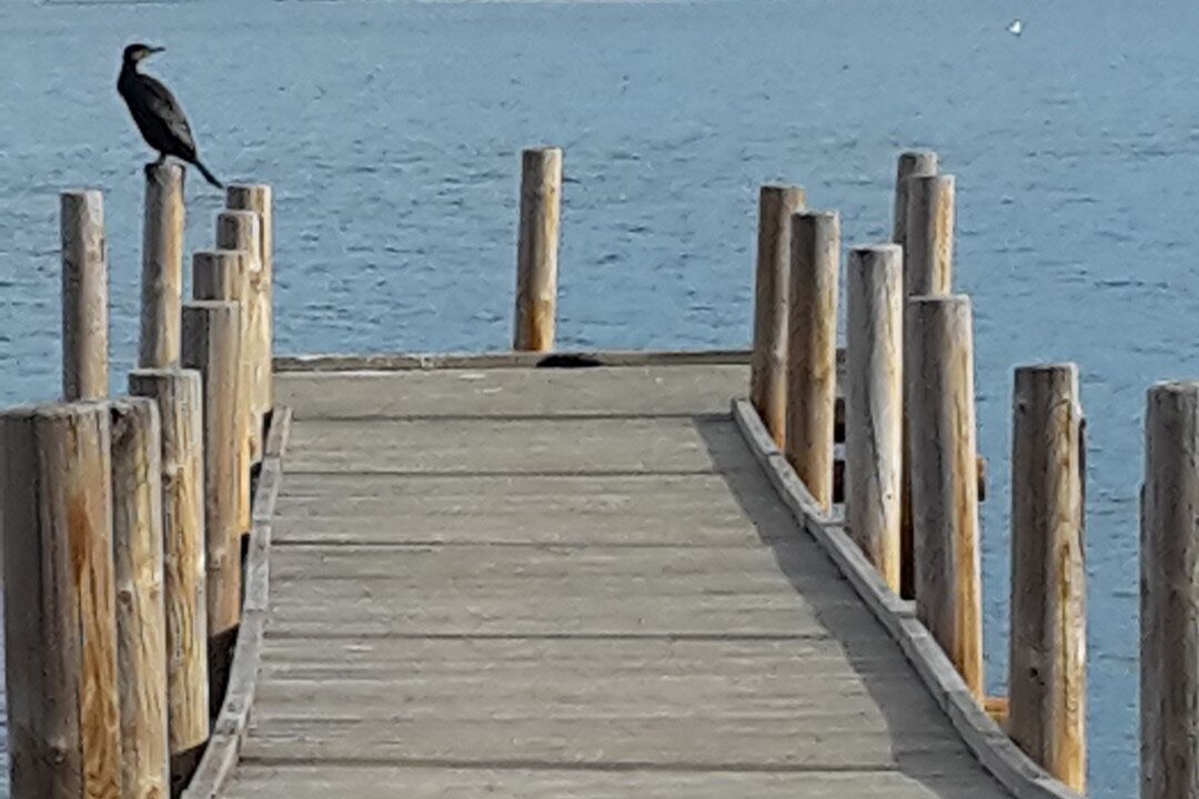 Photo of Outdoor in Gruissan