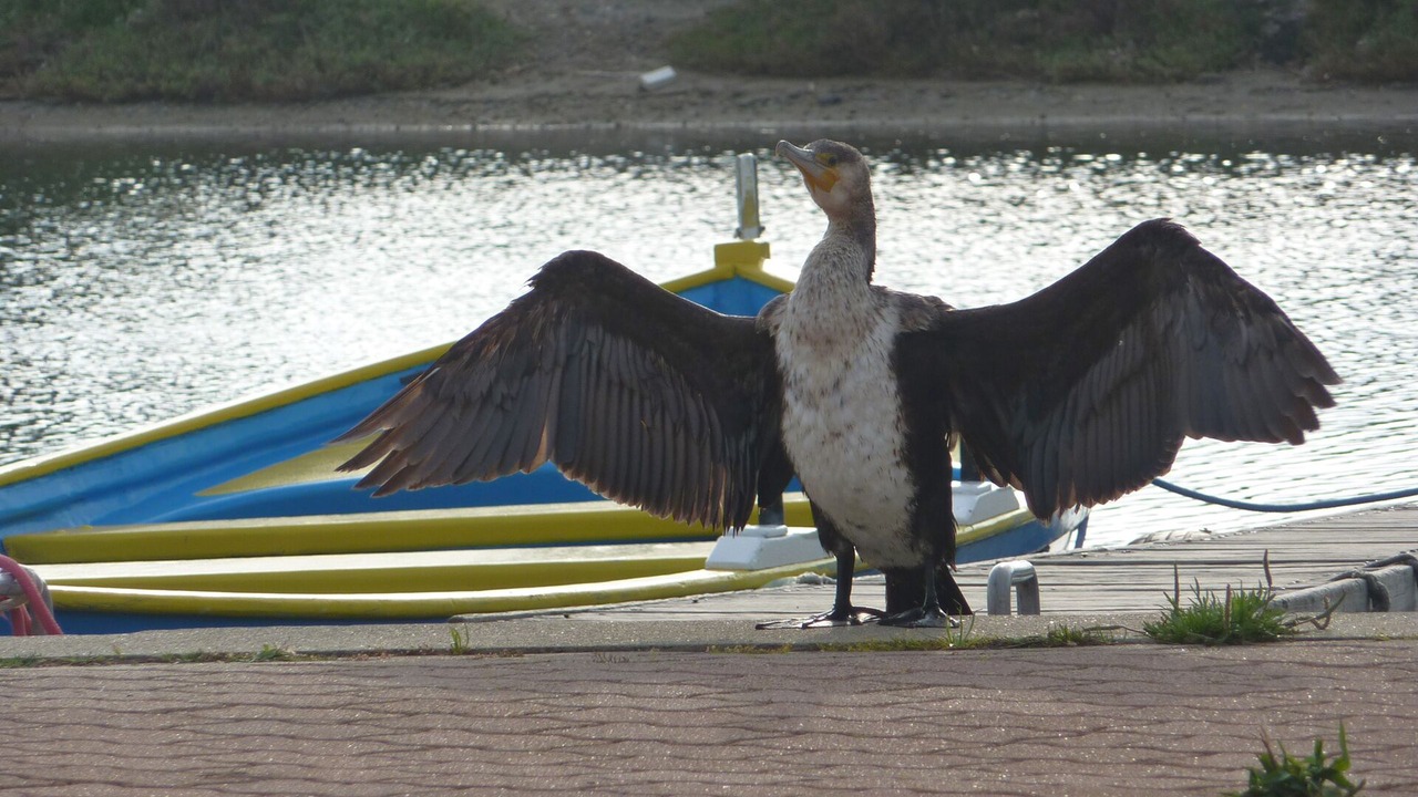 Photo of Others in Gruissan
