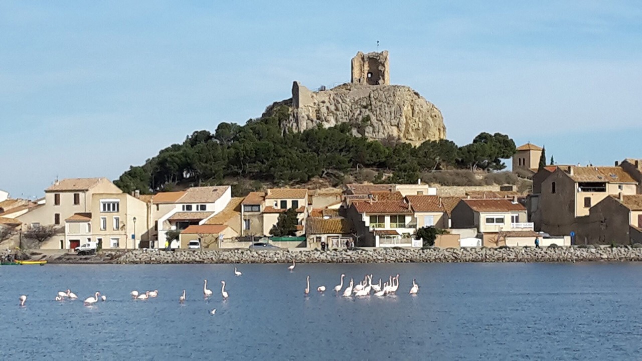 Photo of Others in Gruissan