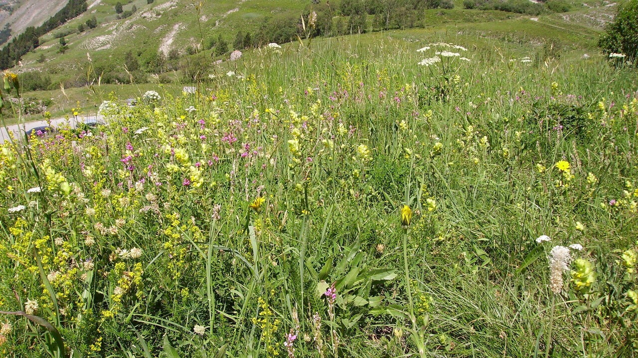 Photo of Outdoor in Villar-d'Arene