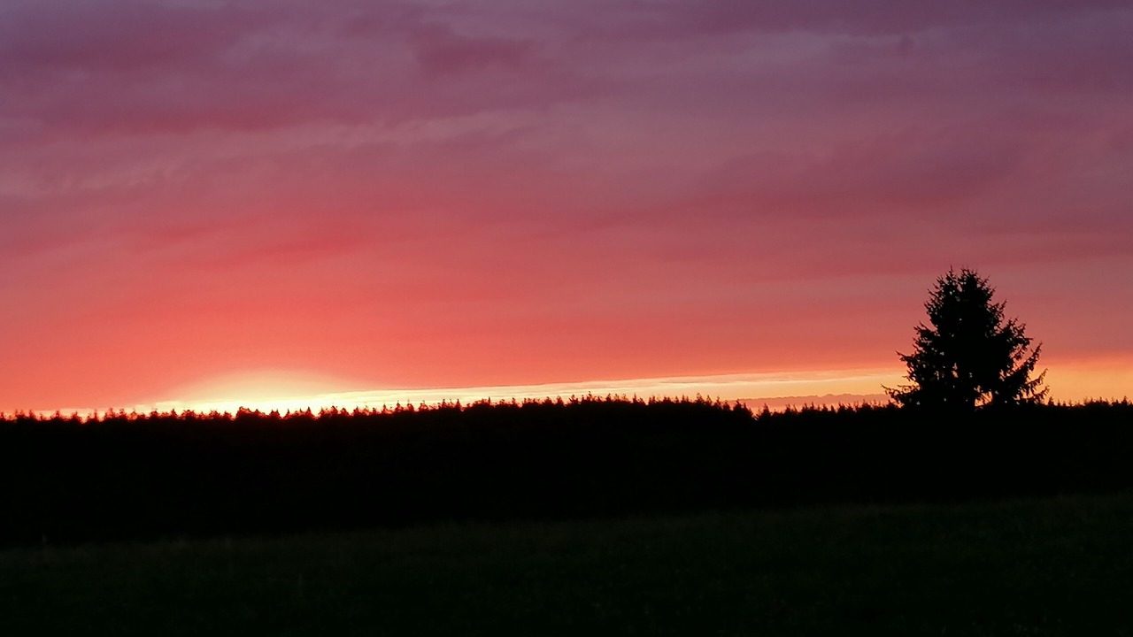 Photo of Outdoor in La Chapelle-Saint-Geraud