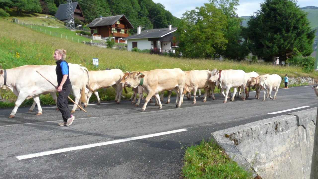 Photo of Others in Campan