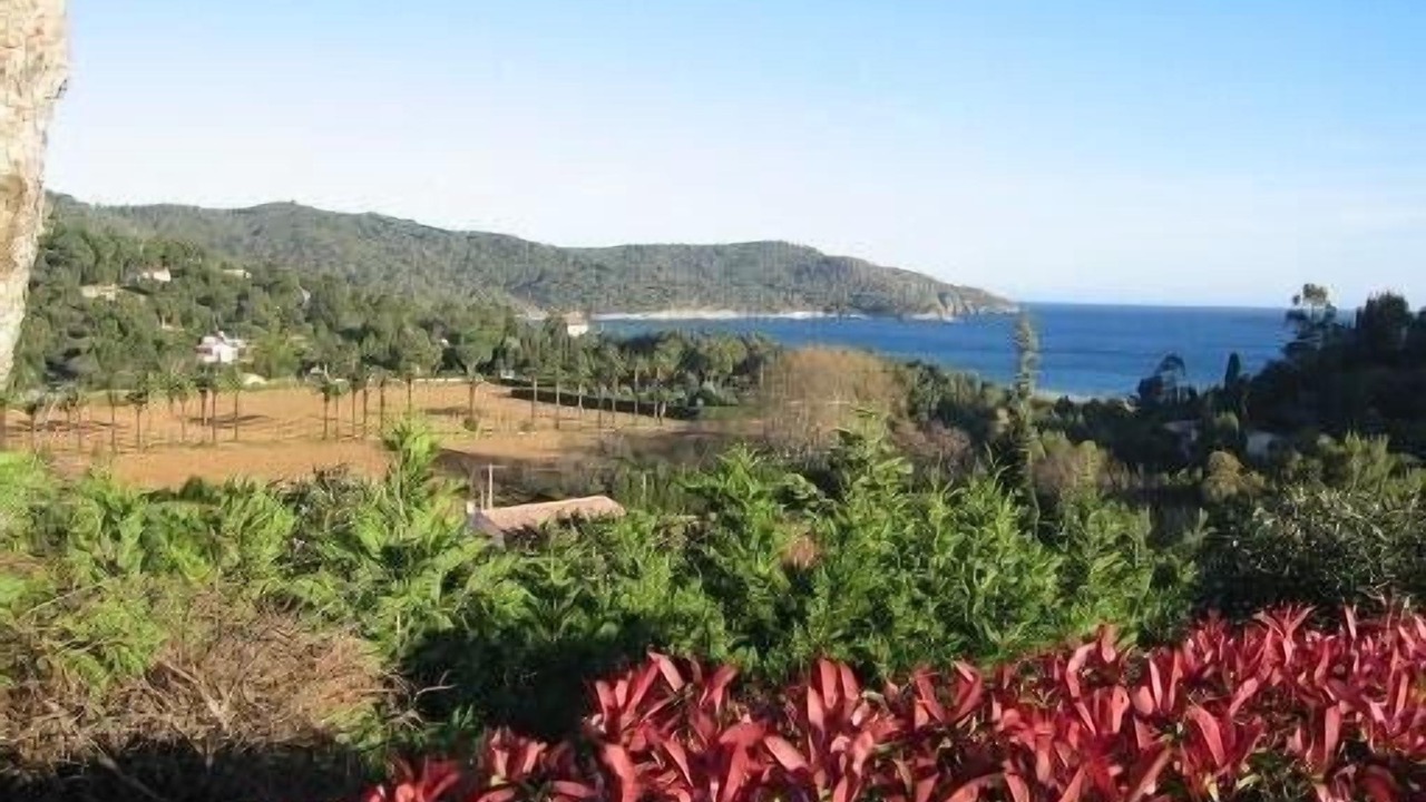 Photo of Outdoor in La Croix-Valmer