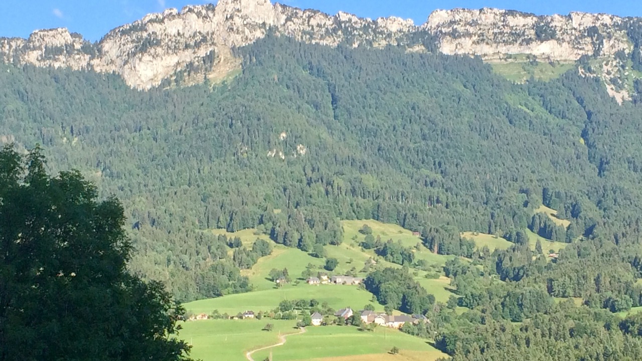 Photo of Others in Leschaux