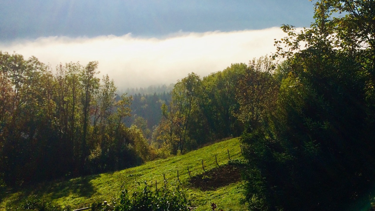 Photo of Outdoor in Leschaux