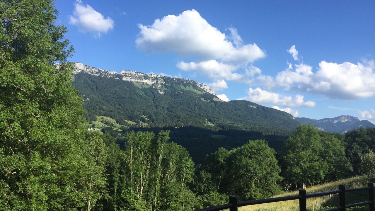 Photo of Patio Balcony in Leschaux