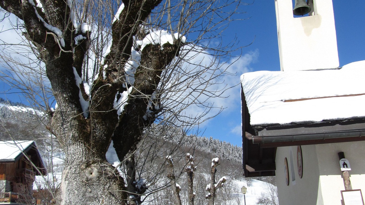 Photo of Outdoor in Chandon