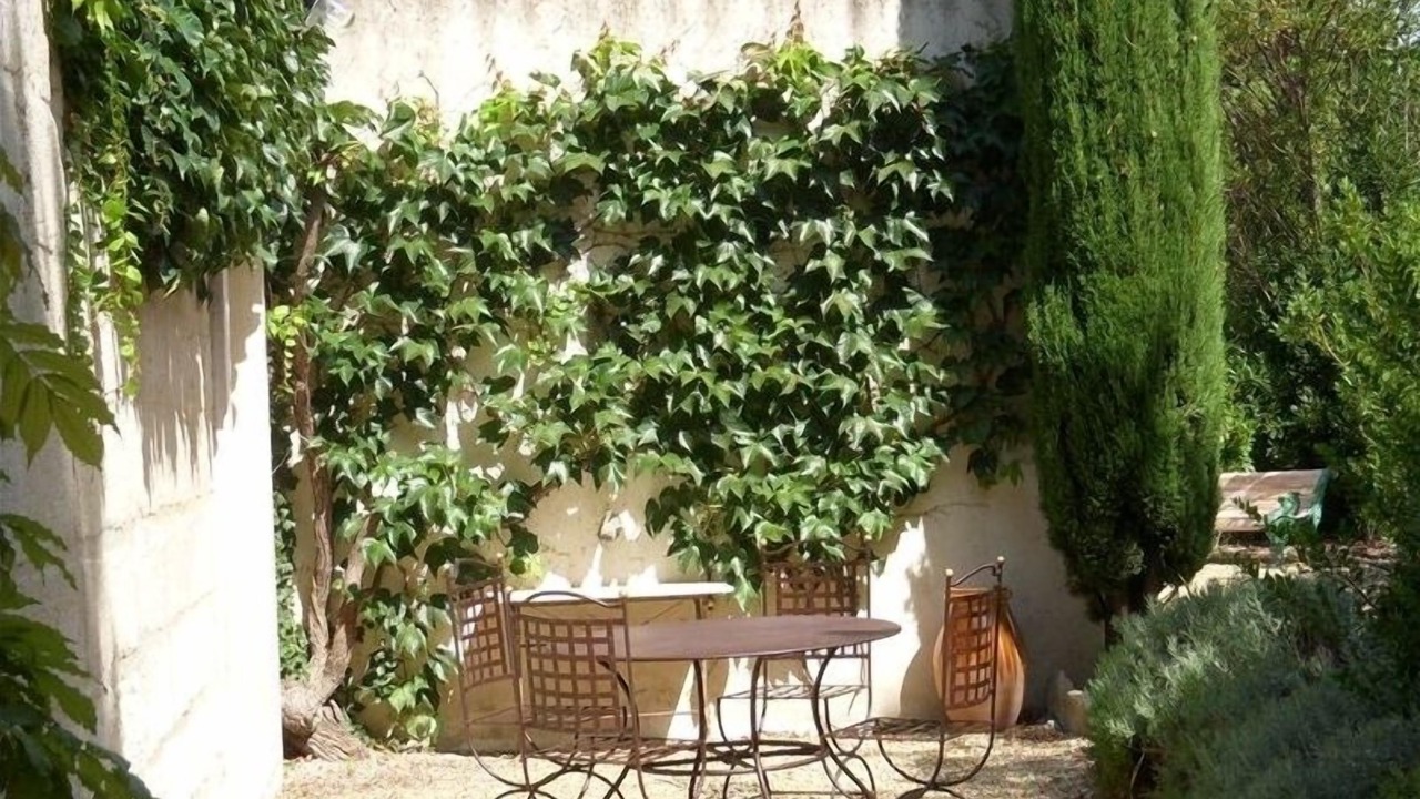 Photo of Outdoor in St.-Remy-de-Provence