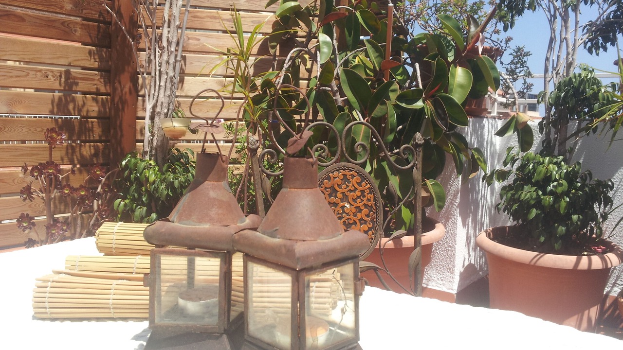 Photo of Outdoor in El Congres i els Indians