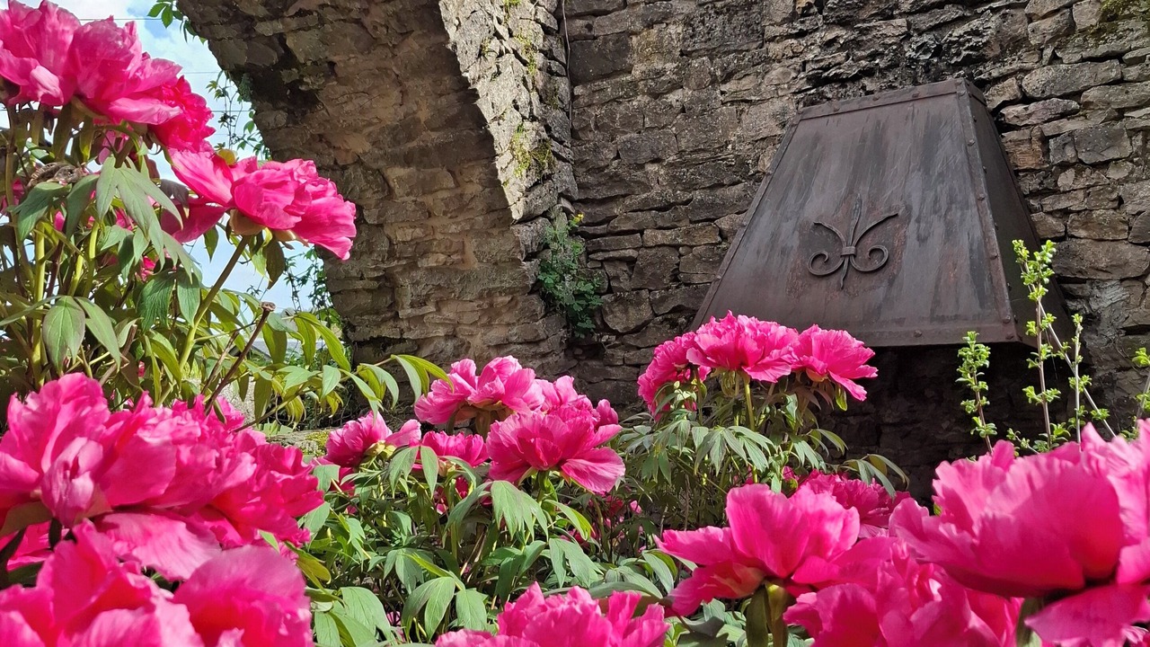 Photo of Outdoor in Saint-Laurent-d'Olt