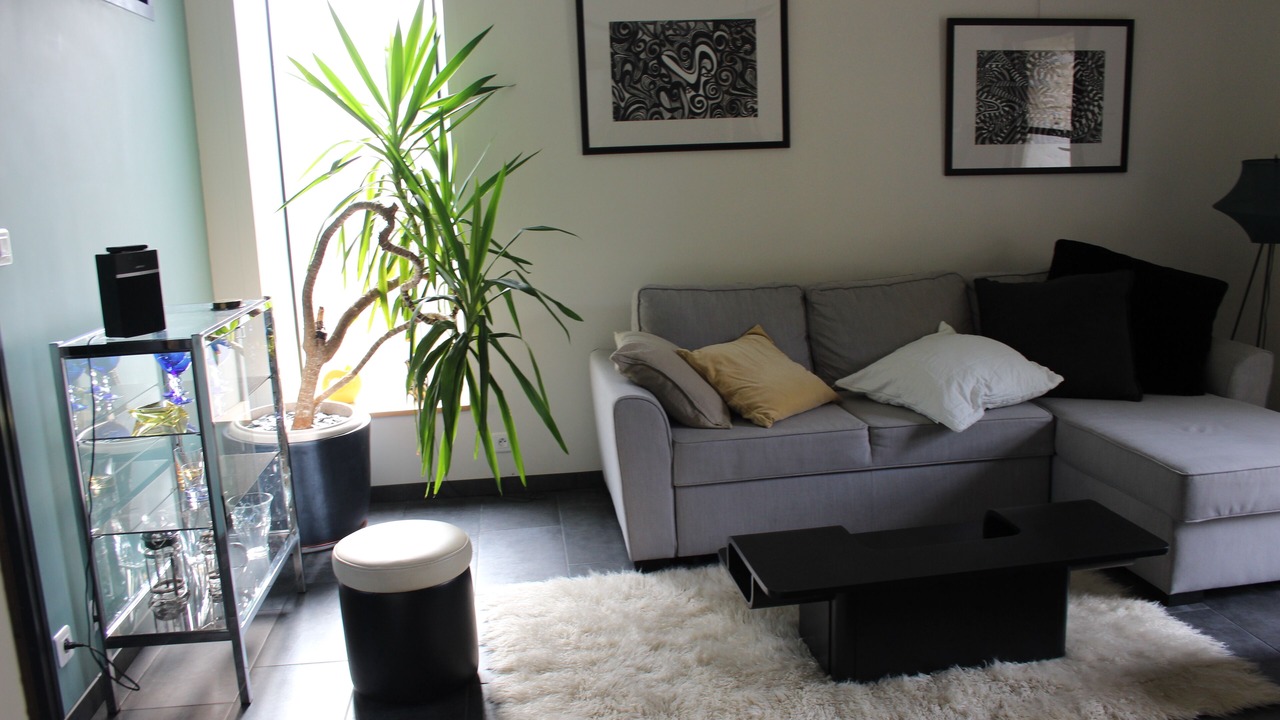 Photo of Livingroom in Port-de-Lanne