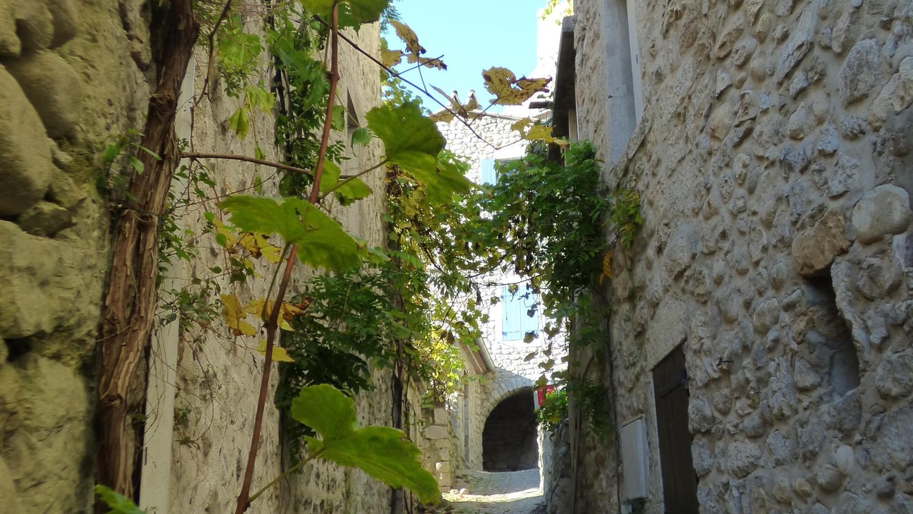 Photo of Outdoor in Labeaume