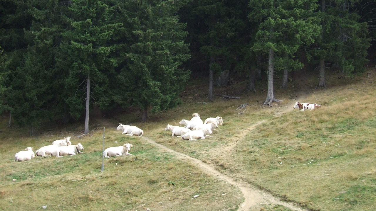 Photo of Outdoor in Prapoutel