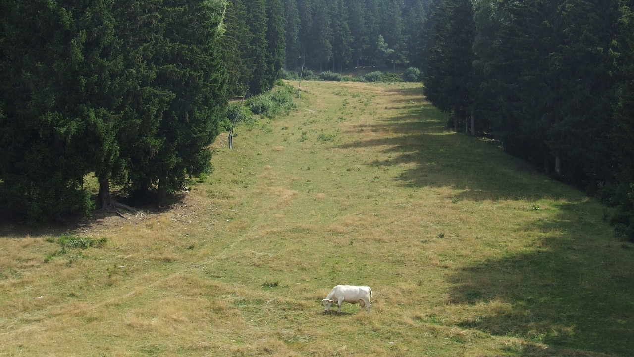 Photo of Outdoor in Prapoutel
