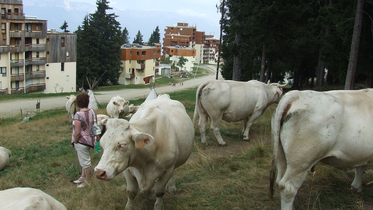 Photo of Outdoor in Prapoutel
