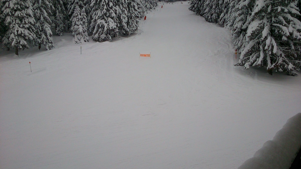 Photo of Others in Prapoutel