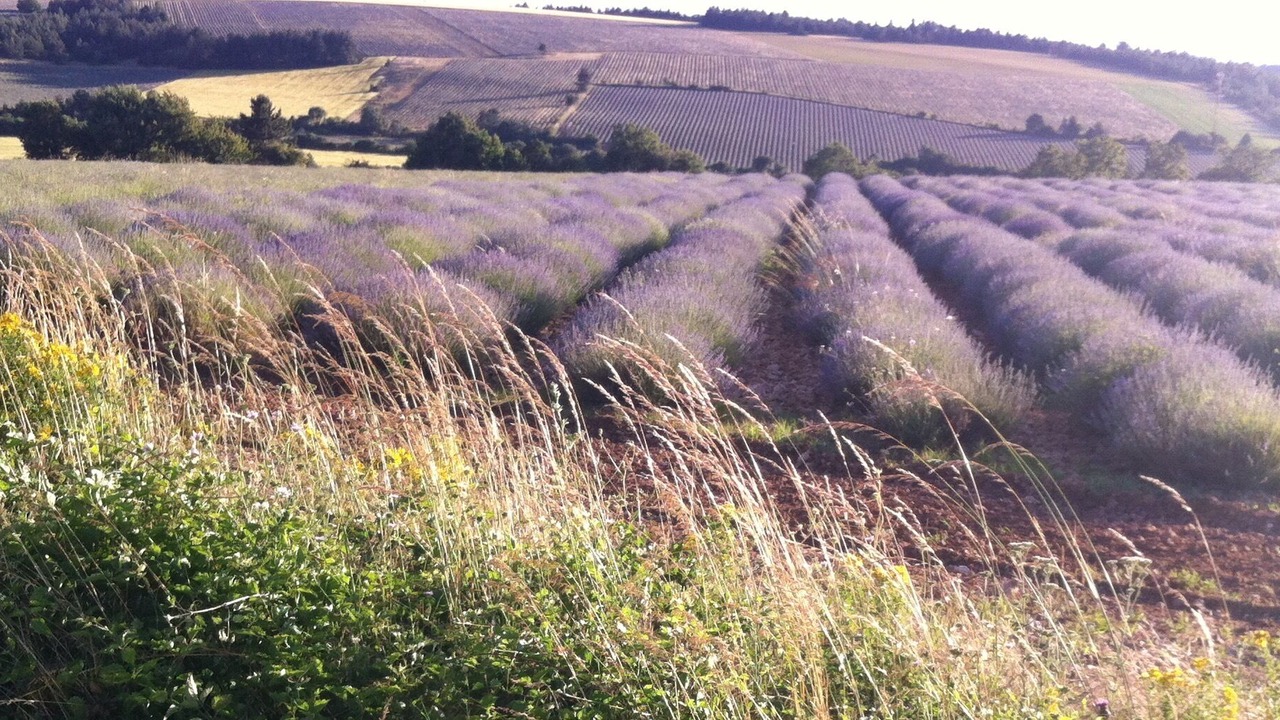 Photo of Outdoor in Rustrel