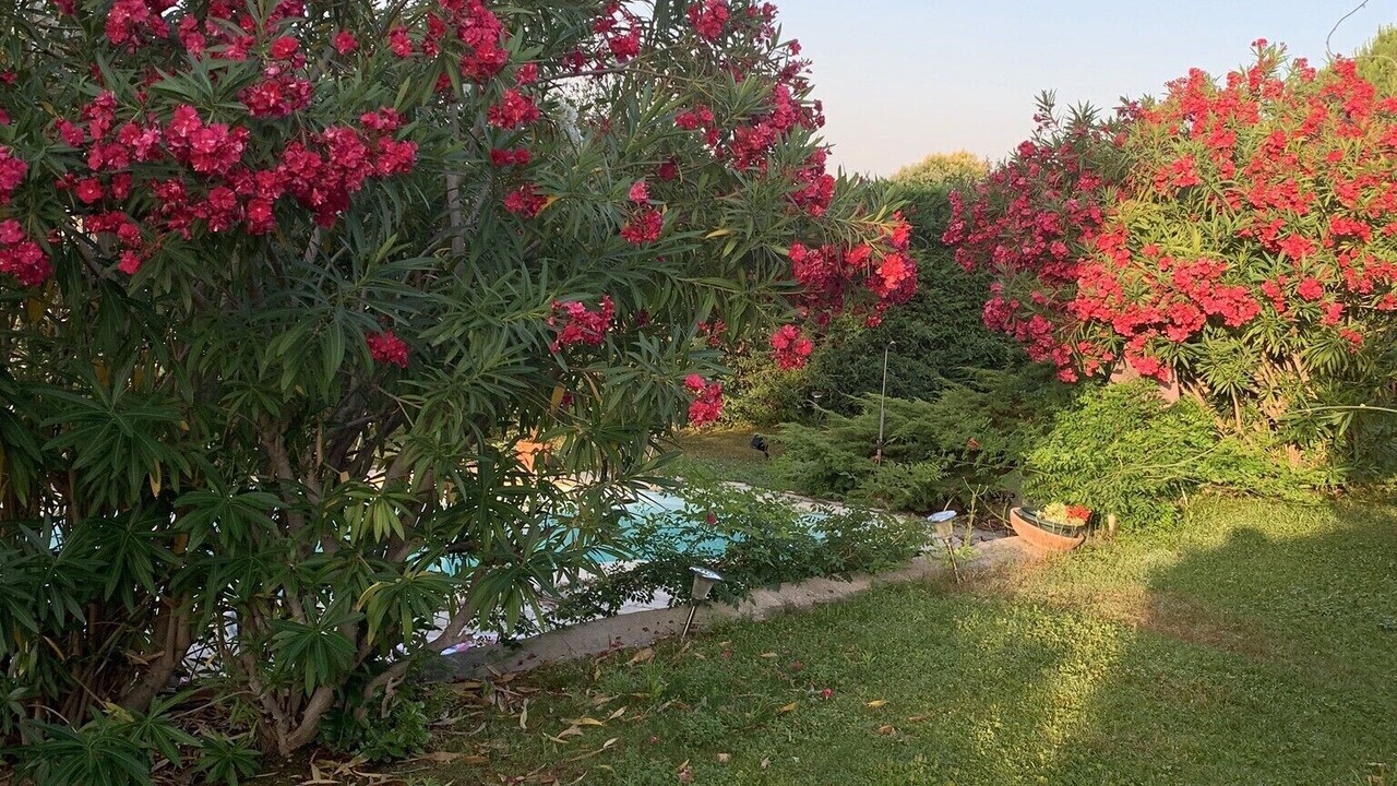 Photo of Outdoor in Eguilles