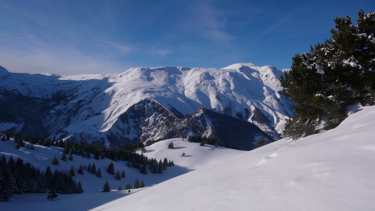 Photo of Others in Villard-Reymond
