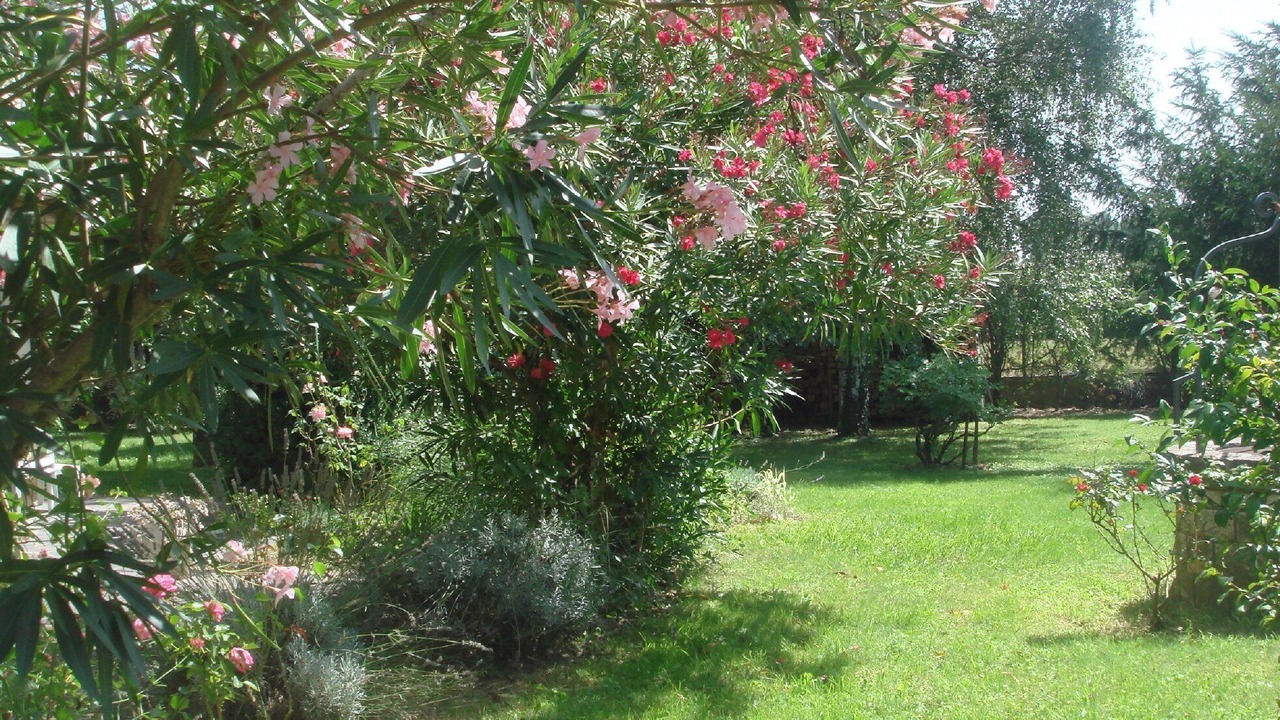Photo of Outdoor in Saint-Peray