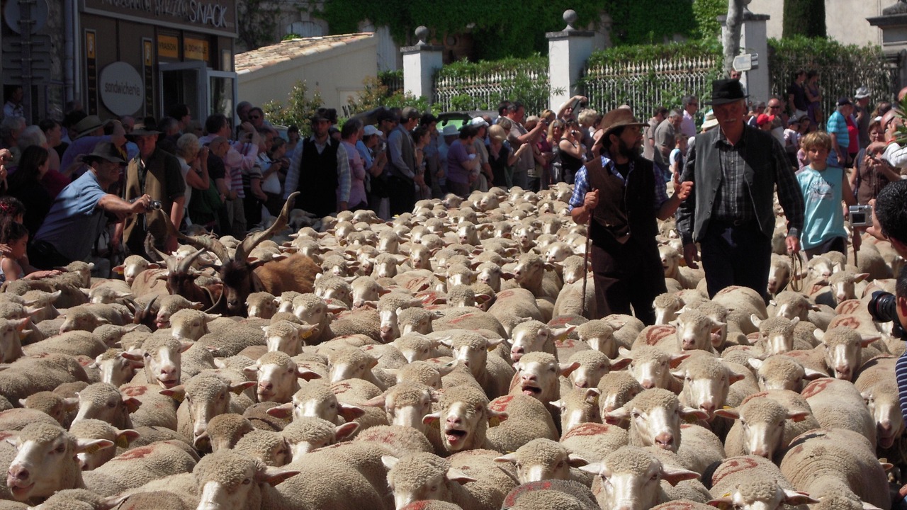Photo of Others in St.-Remy-de-Provence