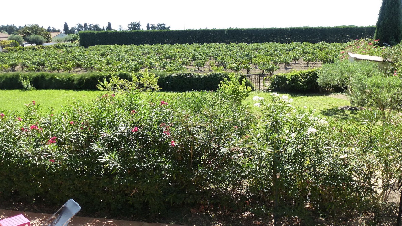 Photo of Outdoor in Saint-Laurent-d'Aigouze
